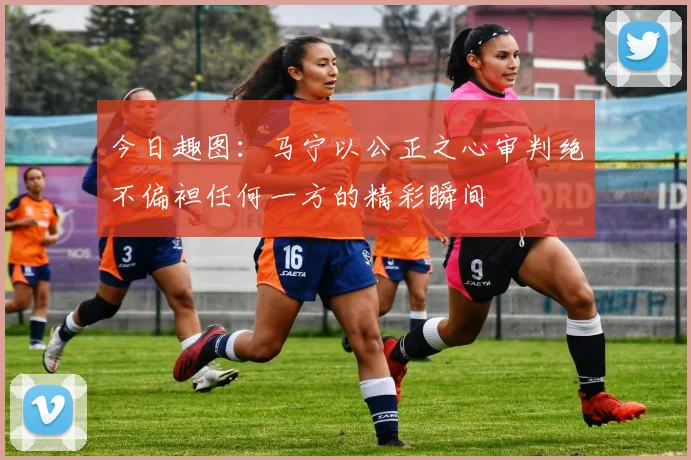 今日趣图：马宁以公正之心审判绝不偏袒任何一方的精彩瞬间