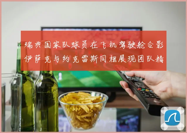 瑞典国家队球员在飞机驾驶舱合影伊萨克与约克雷斯同框展现团队精神
