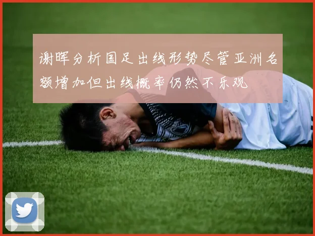 谢晖分析国足出线形势尽管亚洲名额增加但出线概率仍然不乐观